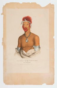 Playing Fox, Prince Of The Fox Tribe — James Otto Lewis