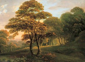 Landscape, Sunny Evening