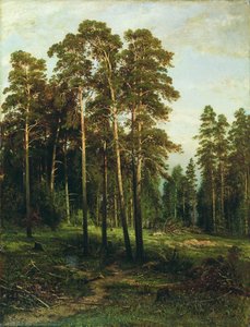 Pine Forest (12) — Ivan Ivanovich Shishkin, Realism