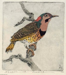 Flicker — Benson B Moore