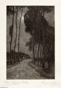 Moonlight In Holland — Henry Wolf