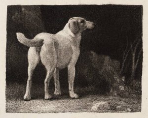 A Foxhound Viewed From Behind — George Stubbs