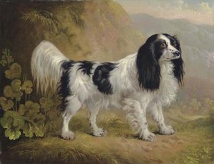 A Spaniel In A Landscape — Sawrey Gilpin