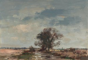 The Marsh Lake After Rain — Edward Seago