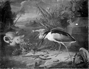 OISEAU PECHEUR, CYGNES ET POISSONS