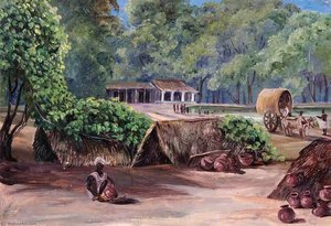 Native Huts Near Tanpori, India — Marianne North