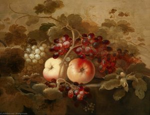 Still-Life