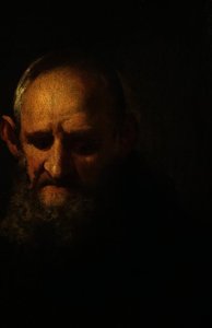 Head of a Capuchin
