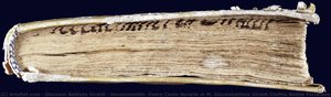 Hecatommithi. Overo Cento Novelle Di M. Giovanbattista Giraldi Cinthio Nobile Ferrarese: Nelle Quali, Oltre Le Dilettevoli Materie, Si Conoscono Moralità Utilissime A Gli Huomini Per Il Ben Vivere; & Per Destare Altresì L