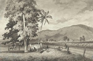 St. James — Michel Jean Cazabon