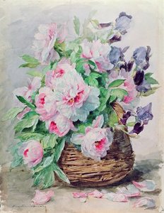 Irises And Peonies In A Basket — Madeleine Jeanne Lemaire