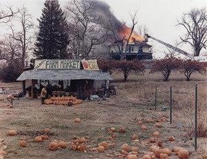 Mclean, Virginia — Joel Sternfeld