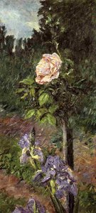 Rose With Purple Iris, Garden At Petit Gennevilliers — Gustave Caillebotte