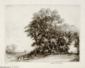 Bouquet D'arbres Au Barrail — Herman Armour Webster