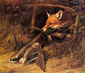 Returning to the Fox's Lair