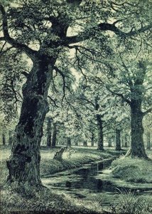 Oak Grove — Ivan Ivanovich Shishkin