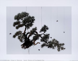 Speak, Memory Of Five-needle Pine — Hong Lei (diplomático)