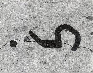 Chicago 68 — Aaron Siskind