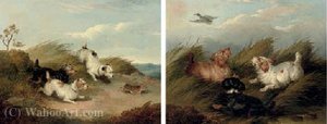Flushing A Mallard; And Chasing A Rabbit — Paul Jones