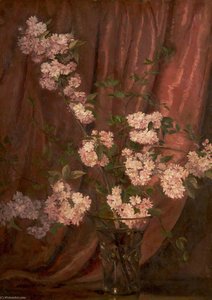 Double Japanese Cherry — William Bruce Ellis Ranken
