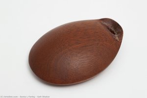 Salt Shaker — Sonia L Farley