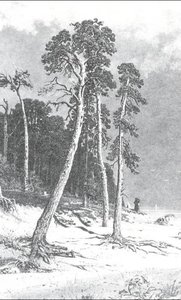 Pines — Ivan Ivanovich Shishkin