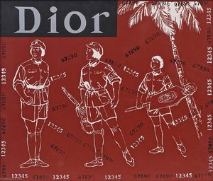 Great Criticism Series Dior — Wang Guangyi