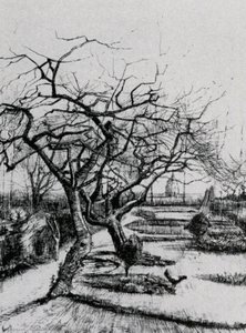 Parsonage Garden — Vincent Willem Van Gogh, Post Impressionism