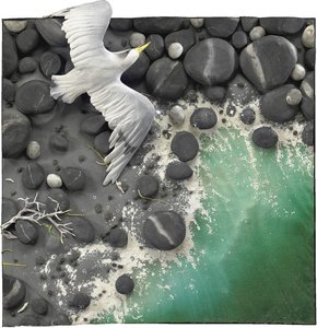 Untitled (486) — Piero Gilardi