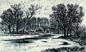 Pantano En El Bosque — Ivan Ivanovich Shishkin