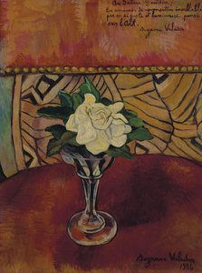 Still Life With White Rose — Сузана Валадон
