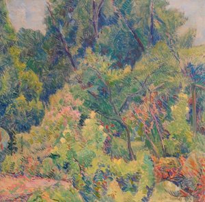 Garden Near A Wood — Elliott Seabrooke