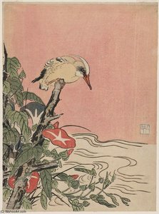 Kingfisher And Morning Glories — Suzuki Harunobu