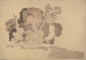 Study Of Trees — John Sell Cotman