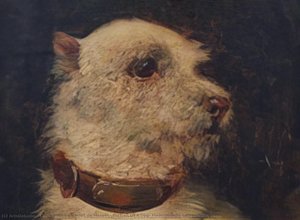 Portrait Of A Dog, Mademoiselle Laurenceau's Cairn