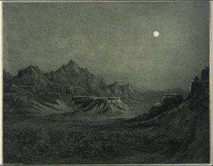 Arizona Night