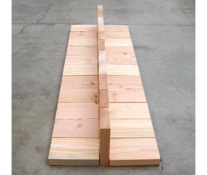 Douglas Fir Fin — Carl Andre