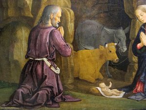 Nativity