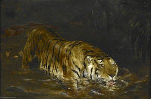 Tiger Drinking At A Jungle Pool — John Trivett Nettleship