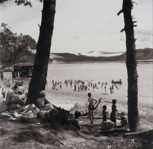 Opo: The Hokianga Dolphin (#32) — Eric Albert Lee-johnson