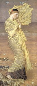 Seagulls — Albert Joseph Moore