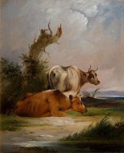Cows, White Cow Standing — William Shayer Senior