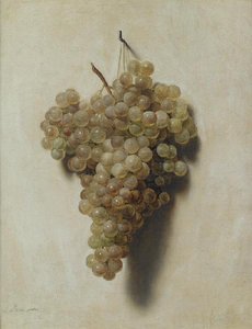 Raisins Blancs — Louis Léopold Boilly