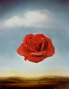 Meditative Rose — Salvador Dalí
