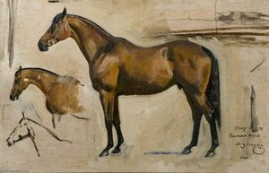 Study For 'southern Hero' — Sir Alfred James Munnings, Academic Realism