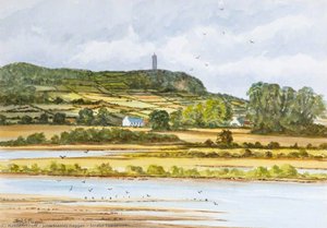 Scrabo Tower