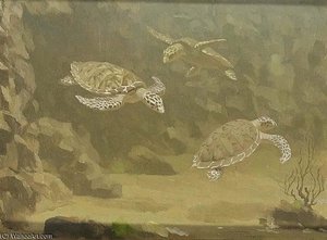 Schildpadden — Gerrit Willem Dijsselhof