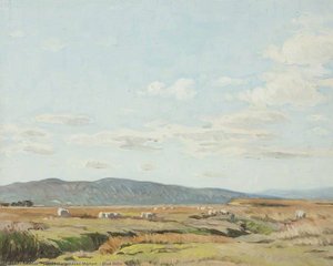 Blue Hills