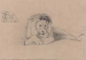 Study Of A Lion And Study Of A Lioness' Head — John Frederick Lewis, Orientalist Painting