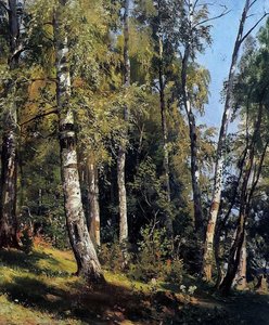 Birch Grove — Ivan Ivanovich Shishkin